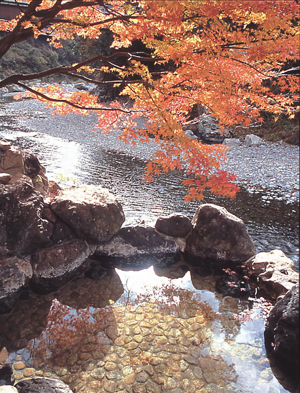 和歌山　龍神温泉下御殿　混浴露天風呂(外観)秋